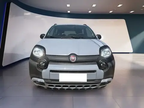 Used FIAT PANDA Hybrid 2021 Ad 