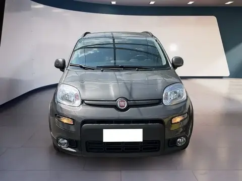 Annonce FIAT PANDA Hybride 2023 d'occasion 