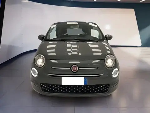 Used FIAT 500 Petrol 2019 Ad 