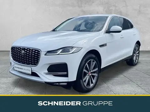 Used JAGUAR F-PACE Diesel 2021 Ad 