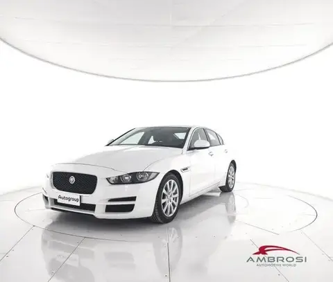 Used JAGUAR XE Diesel 2016 Ad 