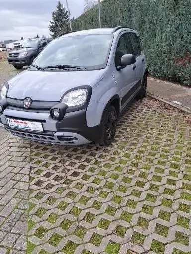 Used FIAT PANDA Petrol 2019 Ad 