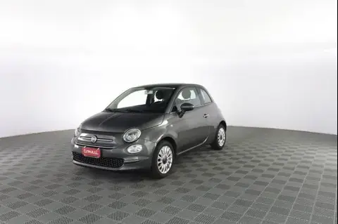 Used FIAT 500 Petrol 2019 Ad 