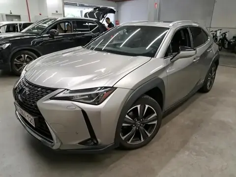 Used LEXUS UX Hybrid 2019 Ad 