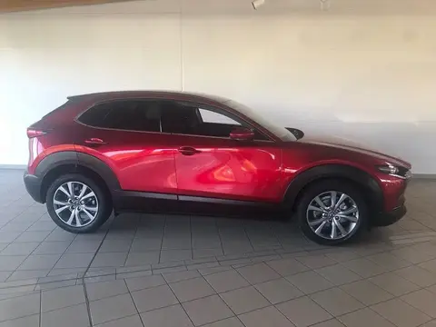 Annonce MAZDA CX-30 Essence 2020 d'occasion 