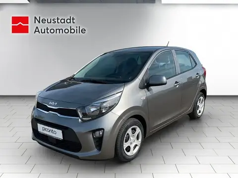 Annonce KIA PICANTO Essence 2024 d'occasion 