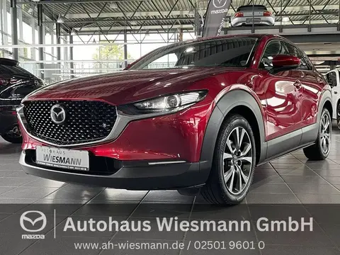 Annonce MAZDA CX-30 Essence 2021 d'occasion 