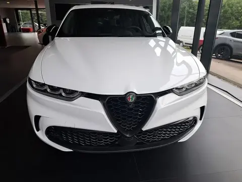 Used ALFA ROMEO TONALE Hybrid 2022 Ad 