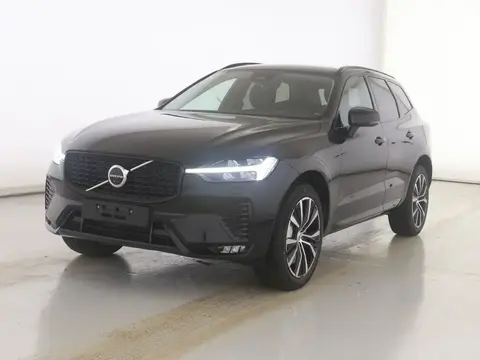 Annonce VOLVO XC60 Diesel 2024 d'occasion 