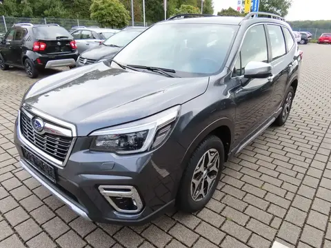 Annonce SUBARU FORESTER Hybride 2021 d'occasion 