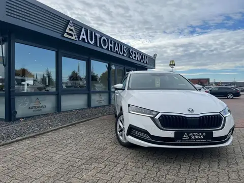 Annonce SKODA OCTAVIA Diesel 2022 d'occasion 