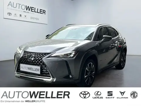 Used LEXUS UX Hybrid 2020 Ad 