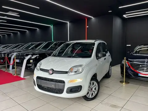 Used FIAT PANDA  2015 Ad 