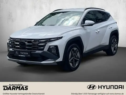 Used HYUNDAI TUCSON Diesel 2024 Ad 