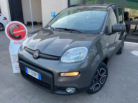 Annonce FIAT PANDA  2021 d'occasion 