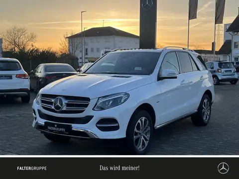 Annonce MERCEDES-BENZ CLASSE GLE Hybride 2016 d'occasion 