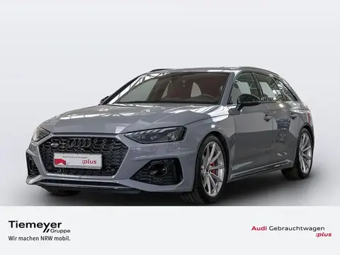 Used AUDI RS4 Petrol 2022 Ad 