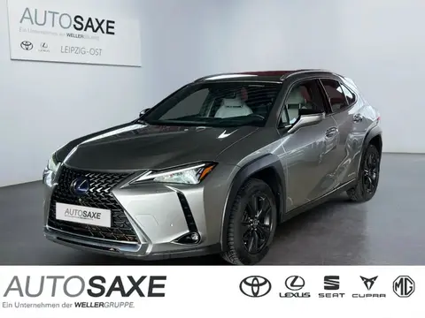 Used LEXUS UX Hybrid 2022 Ad 