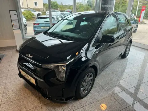 Used KIA PICANTO Petrol 2024 Ad 