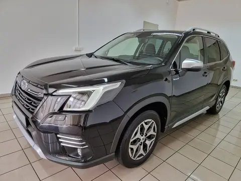 Used SUBARU FORESTER Petrol 2023 Ad 