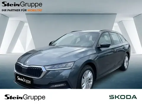 Annonce SKODA OCTAVIA Diesel 2021 d'occasion 