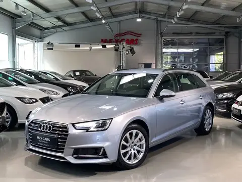 Used AUDI A4 Diesel 2019 Ad 