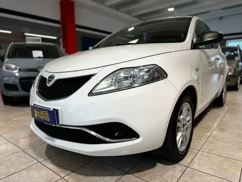 Used LANCIA YPSILON Diesel 2016 Ad 