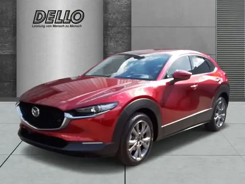 Annonce MAZDA CX-30 Essence 2024 d'occasion 