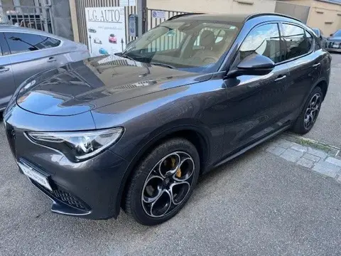 Used ALFA ROMEO STELVIO Diesel 2019 Ad 