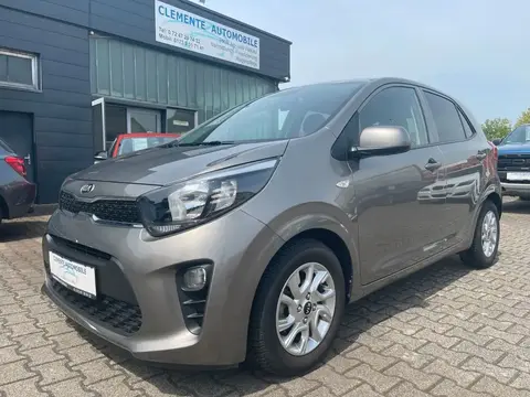 Annonce KIA PICANTO Essence 2019 d'occasion 