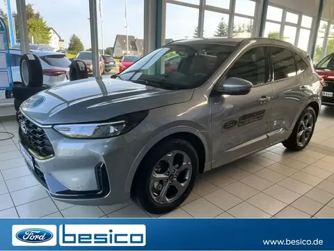 Annonce FORD KUGA Hybride 2024 d'occasion 