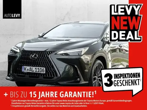 Used LEXUS NX Hybrid 2024 Ad 