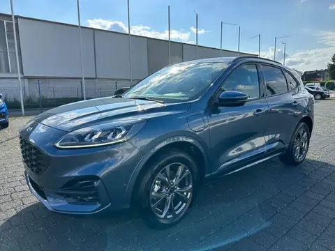 Annonce FORD KUGA Hybride 2024 d'occasion 