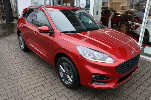 Used FORD KUGA Hybrid 2024 Ad 