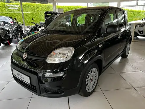 Used FIAT PANDA Hybrid 2024 Ad 