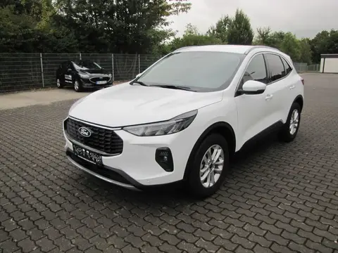 Used FORD KUGA Petrol 2024 Ad 