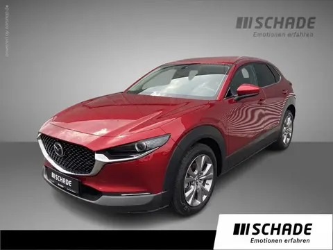 Annonce MAZDA CX-30 Essence 2021 d'occasion 