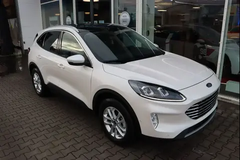 Used FORD KUGA Hybrid 2024 Ad 