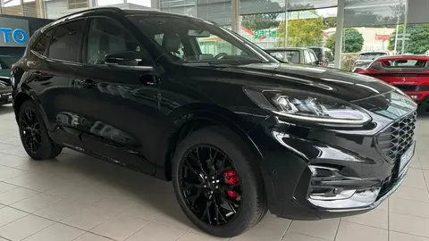 Annonce FORD KUGA Diesel 2024 d'occasion 