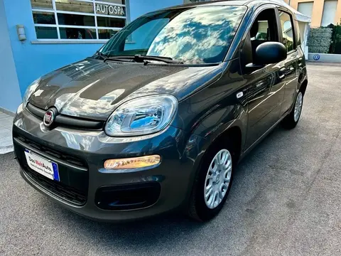 Used FIAT PANDA Hybrid 2021 Ad 