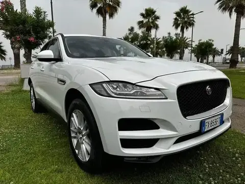 Used JAGUAR F-PACE Diesel 2019 Ad 