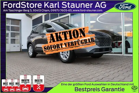 Used FORD KUGA Hybrid 2024 Ad 