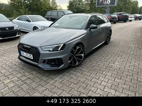 Used AUDI RS4 Petrol 2019 Ad 