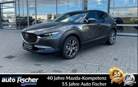 Used MAZDA CX-30 Hybrid 2023 Ad Germany