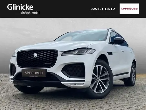 Used JAGUAR F-PACE Diesel 2023 Ad 