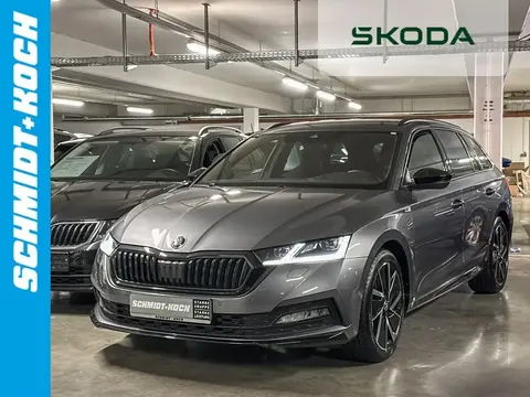 Annonce SKODA OCTAVIA Diesel 2022 d'occasion 