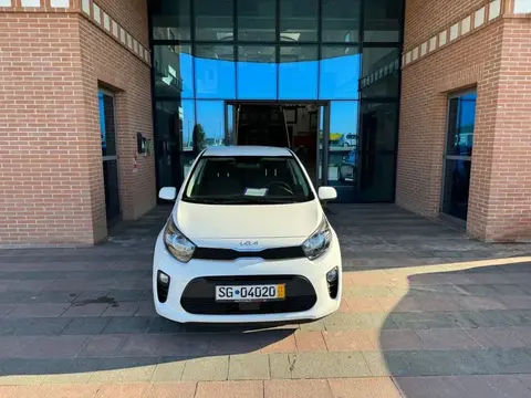 Used KIA PICANTO Petrol 2023 Ad 