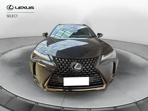 Used LEXUS UX Hybrid 2021 Ad 