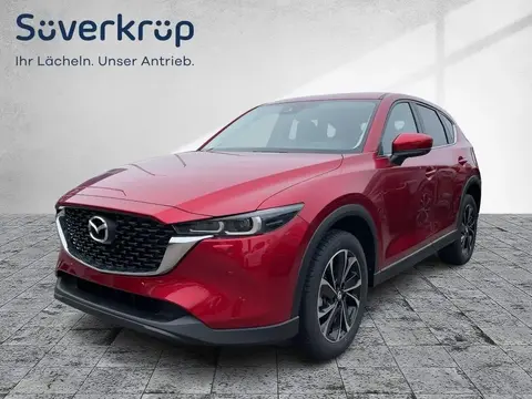 Annonce MAZDA CX-5 Essence 2024 d'occasion 