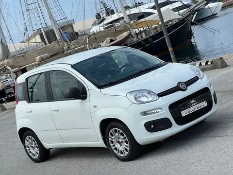 Used FIAT PANDA LPG 2019 Ad 